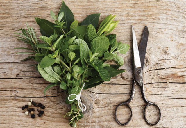 Oregano: the happiness herb | Australian Natural Health Magazine